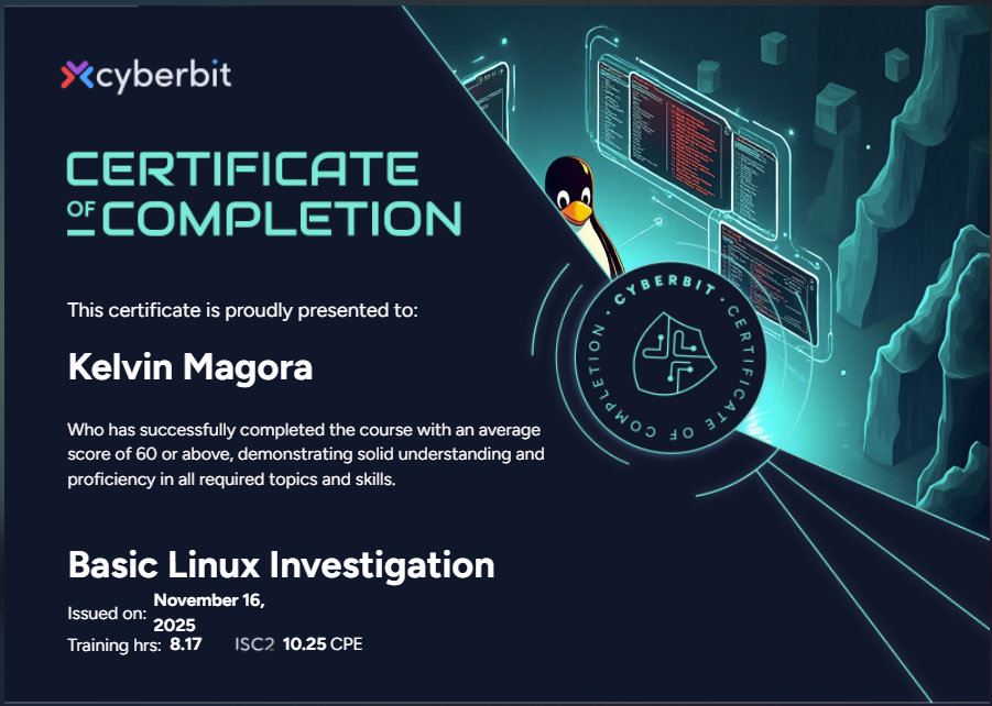 Basic Linux Investigation